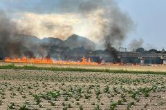 INCENDIO FONDO AGRICOLO GRANO