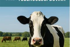 MANUALE TUBERCOLOSI BOVINA