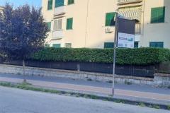 PENSILINE MANCANTI
