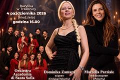 ACCADEMIA SANTA SOFIA POLONIA LOCANDINA