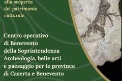APERTURA CENTRO OPERATIVO SOPRINTENDENZA LOCANDINA