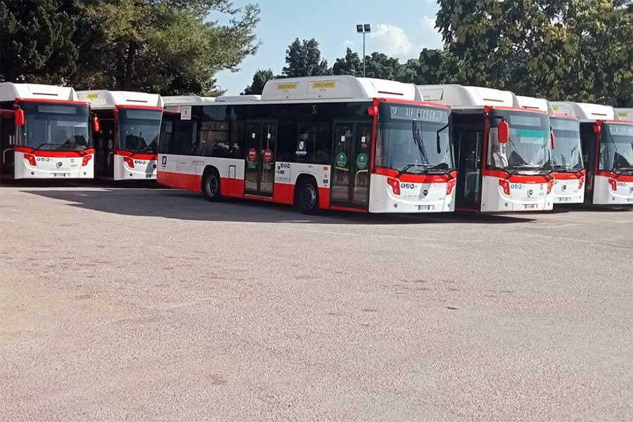 AUTOBUS BENEVENTO AIRCAMPANIA