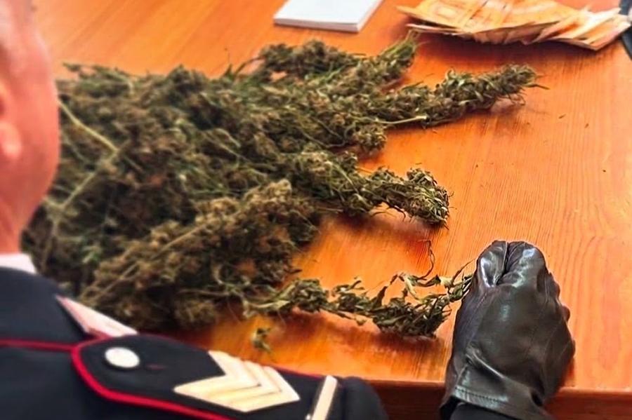 CARABINIERI MARIJUANA GENERICO