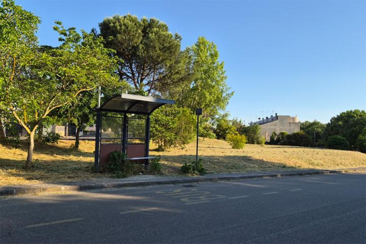 RIPULITO TERRENO INCOLTO 02