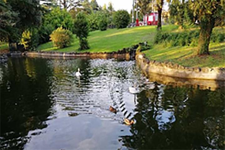 FONTANA VILLA 02