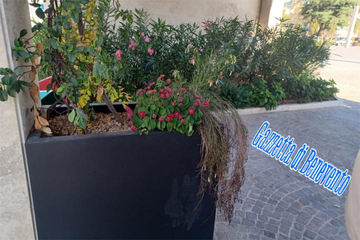 PIAZZA RISORGIMENTO SECCUME 02