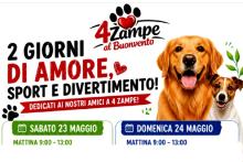 4 ZAMPE
