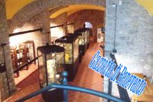 CERRETO MUSEO CIVICO CERAMICA