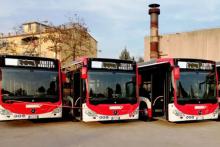 TROTTA BUS