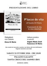 PTACCE DI VITA LIBRO LOCANDINA